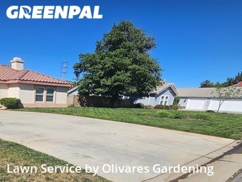 Lawn Cut nearby Palmdale, CA, 