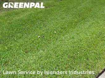 Lawn Service nearby Baton Rouge, LA, 