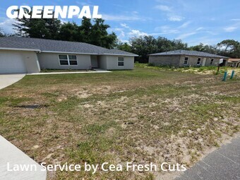 Grass Cut nearby Ocala, FL, 