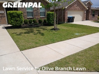 Grass Cutting nearby Fort Worth, TX, 