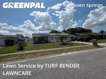 Grass Cut nearby New Port Richey, FL, 
