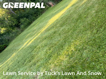 Yard Care Services in Northville, 48167, Yard Services by Tuck’s Lawn And Snow, work completed in Oct , 2025