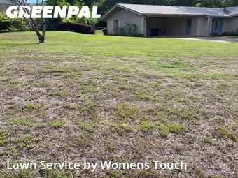 Lawn Mow nearby Northport, AL, 