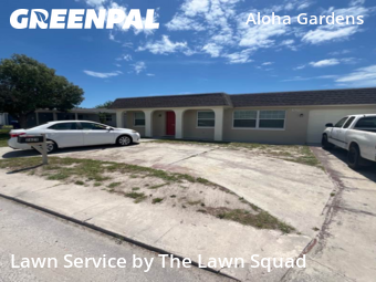 Yard Cutting nearby Holiday, FL, 