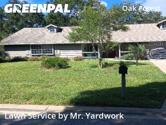 Grass Cut nearby Ormond Beach, FL, 