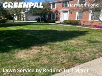 Yard Services in New Albany, 43054, Grass Services by Redline Turf Mgmt, work completed in Nov , 2025