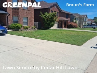 Lawn Cut nearby San Antonio, TX, 