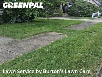 Yard Cutting nearby Struthers, PA, 