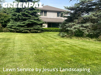 Lawn Mow nearby Park Ridge, IL, 