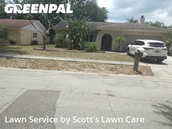 Grass Cut nearby Palm Harbor, FL, 