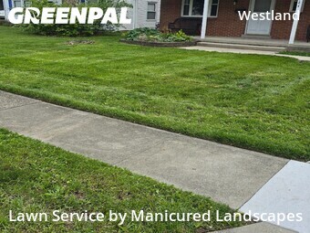 Yard Cutting nearby Columbus, OH, 