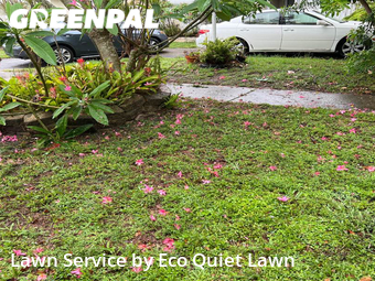 Yard Cutting nearby Hollywood, FL, 