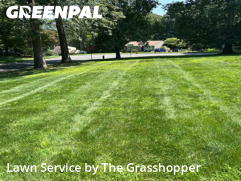Lawn Cutting nearby Tolland, CT, 