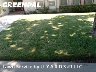 Lawn Cutting nearby Modesto, CA, 