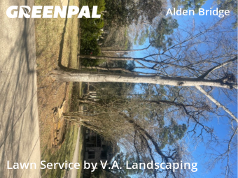 Lawn Mowing Servicein The Woodlands,77382,Grass Cut by V.A. Landscaping, work completed in Dec , 2025
