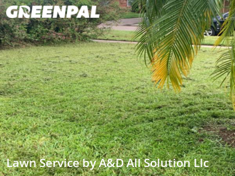 Lawn Mowing Service nearby Orlando, FL, 