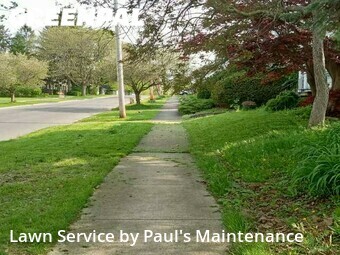 Lawn Mowing nearby Syracuse, IL, 