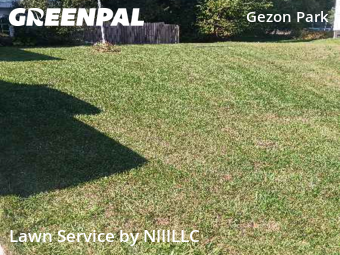 Yard Upkeep in Wyoming, 49519, Yard Services by NIIILLC, work completed in Dec , 2025