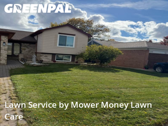 Grass Cutting in Sterling Heights, 48312, Yard Services by Mower Money Lawn Care, work completed in Oct , 2025