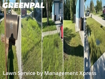Yard Mowing nearby Punta Gorda, FL, 