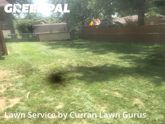 Lawn Care nearby O'fallon, IL, 