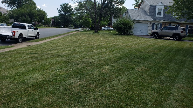 cheap-lawn-cutting-businesses-in-Arlington-VA