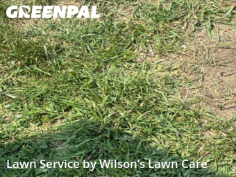 Lawn Cut nearby Dearborn Heights, MI, 