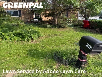 Lawn Cut nearby Champaign, IL, 