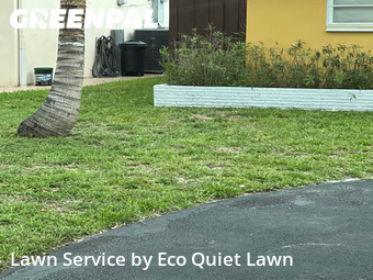 Grass Cut nearby Plantation, FL, 