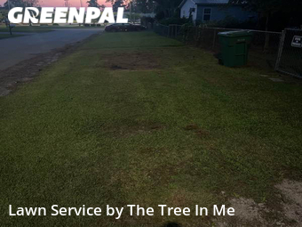 Grass Cutting nearby Jacksonville, NC, 