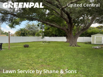 Lawn Mowing nearby St. Petersburg, FL, 