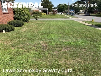 Grass Cut nearby Norfolk, VA, 