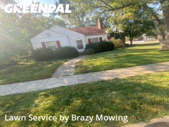 Backyard Mowing in Wayne, 48184, Lawn Cutting by Brazy's Mowing Llc, work completed in Nov , 2025