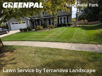 Lawn Servicein Naperville,60564,Lawn Maintenance by Terranova Landscape, work completed in Nov , 2025