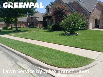 Lawn Cutin Keller,76248,Yard Cutting by Olive Branch Lawn, work completed in Jul , 2026