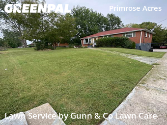 Lawn Mow nearby Nashville, GA, 