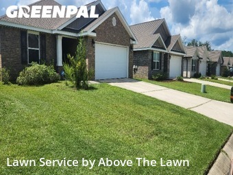 Lawn Upkeep in Bellview, 32526, Yard Maintenance by Above The Lawn, work completed in Nov , 2025