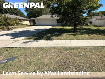 Lawn Mowin Richardson,75080,Grass Cutting by Alfas Landscaping, work completed in Dec , 2025