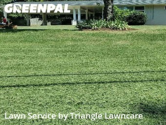Lawn Mow nearby Raleigh, NC, 