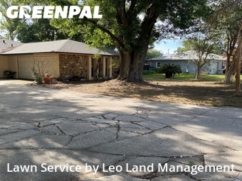 Lawn Cut nearby Lakeland, FL, 