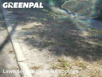 Yard Cutting nearby Clearwater, FL, 