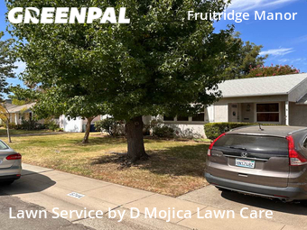 Grass Cut nearby Sacramento, CA, 