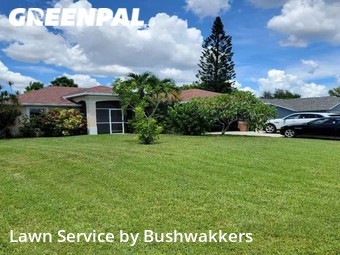 Grass Cut nearby Cape Coral, FL, 