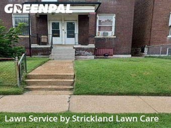 Grass Cut nearby St. Louis, MO, 