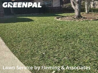 Lawn Mow nearby Orange Park, FL, 