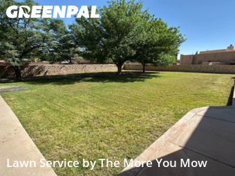 Grass Cut nearby Socorro, TX, 