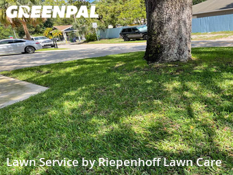 Lawn Care Service nearby Tampa, FL, 