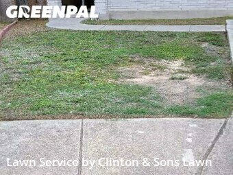 Lawn Service nearby San Antonio, TX, 