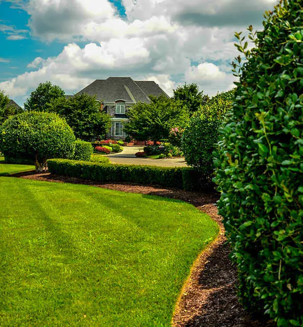Homeowners Guide: Planning a Successful Landscape Design 