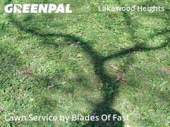 Lawn Cutting nearby Atlanta, GA, 